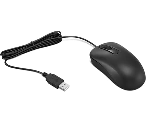 Lenovo Basic - Mouse - right and left-handed - optical - 3 buttons - wired - USB - black - FRU