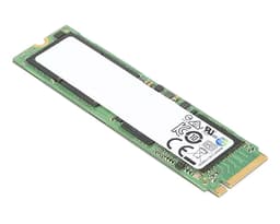 ^TP 2TB PCIE G4 NVME OPAL2 M.2 2280
