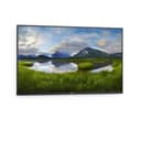 ^DELL 55 4K CONF RM MON P5524Q thumbnail 3