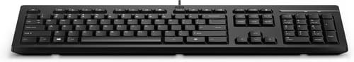 HP 125 - Keyboard - USB - Netherlands - for HP 34, Laptop 15, Pro Mobile Thin Client mt440 G3