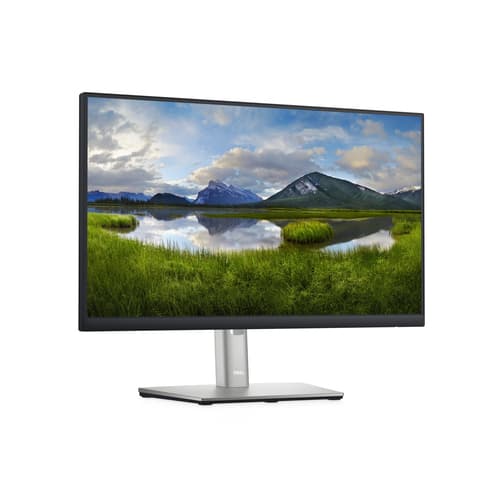 ^DELL 22 P2222H — view 4