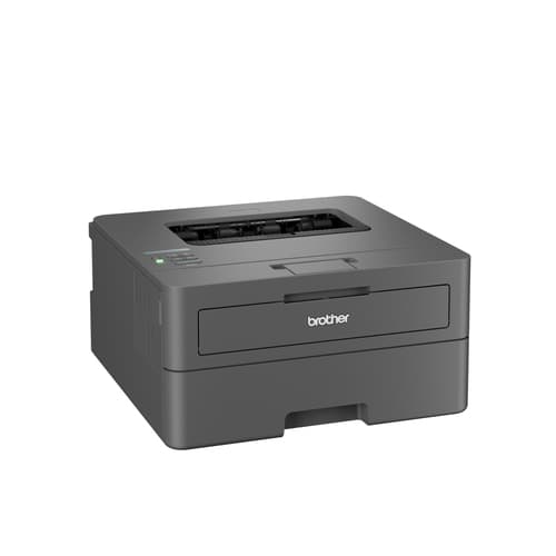 Brother HL-L2445DW — view 3