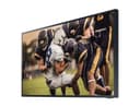 6 INCH TERRACE QLED 4K OUTDOOR BIZ T thumbnail 5
