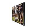 6 INCH TERRACE QLED 4K OUTDOOR BIZ T thumbnail 6