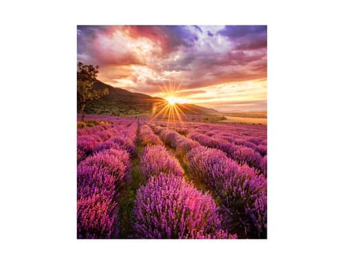 Samsung LED LED