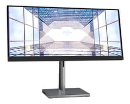 L29W-30 MONITOR