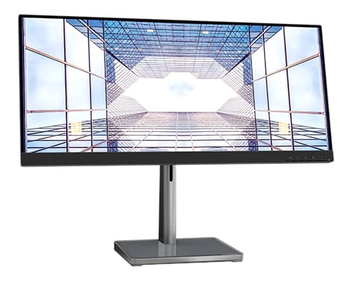 L29W-30 MONITOR