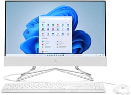 22-DD1001NA I3-1125G4 4GB 256GB W11