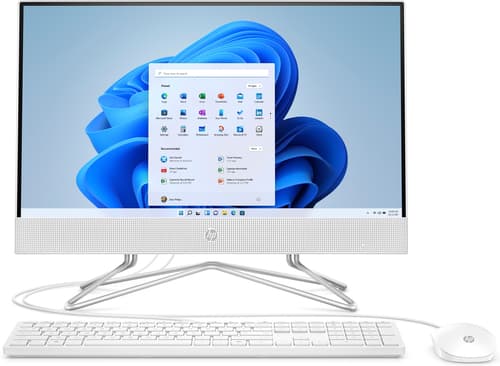 22-DD1001NA I3-1125G4 4GB 256GB W11