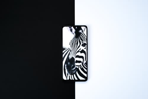TCL 30 MUSE BLUE — view 18
