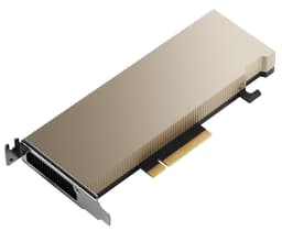 NVIDIA A2 - GPU computing processor - A2 - 16 GB GDDR6 - PCIe 4.0 x8 low profile - fanless - for ThinkSystem SR630 V2 7Z70, 7Z71, SR645 7D2X, 7D2Y