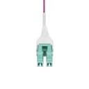 StarTech.com 20m (66ft) LC/LC (UPC) OM4 Multimode Fiber Optic Cable, OFNR - Patch cable - LC/UPC duplex multi-mode (M) to LC/UPC duplex multi-mode (M) - 20 m - 1.6 mm - fibre optic - duplex - 50 / 125 micron - OM4 - OFNR - jumper - erika violet thumbnail 4