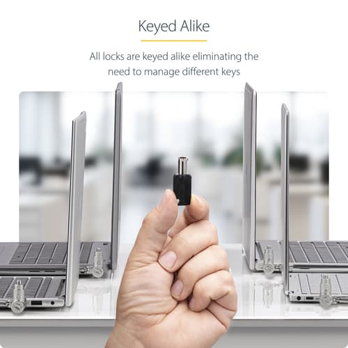 StarTech.com 25-Pack Universal Laptop Lock 6.6ft, Keyed Alike Locking Cable, Security Cable, Compatible w/Noble Wedge/Nano/K-Slot, Anti-Theft Cut-Resistant Cable - TAA - Security cable lock - silver, black - 2 m - TAA Compliant (pack of 25) — view 15