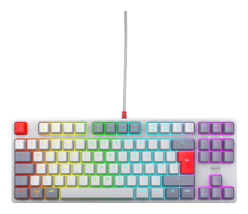 CHERRY XTRFY K4V2 - Retro Edition - keyboard - RGB - 80% - TKL - backlit - USB - QWERTY - UK - key switch: CHERRY MX2A Red - grey