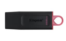 Kingston DataTraveler Exodia - USB flash drive - 256 GB - USB 3.2 Gen 1 - black/pink