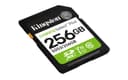 Kingston Canvas Select Plus - Flash memory card - 256 GB - Video Class V10 / UHS-I U1 / Class10 - SDXC UHS-I thumbnail 2