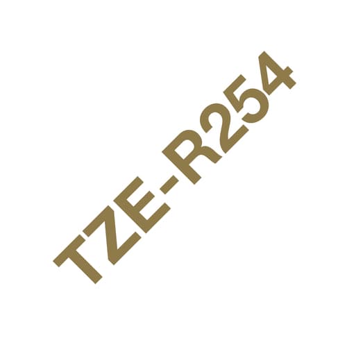 Brother TZe-R254 - Glossy - gold on white - Roll (2.4 cm x 4 m) 1 cassette(s) ribbon tape - for PT2430PC, PT2730, PT2730VP, PT9600, PTD600, PTD600VP, PTD800W, PTH500LI, PTP700, PTP710BT, PTP750W — view 1