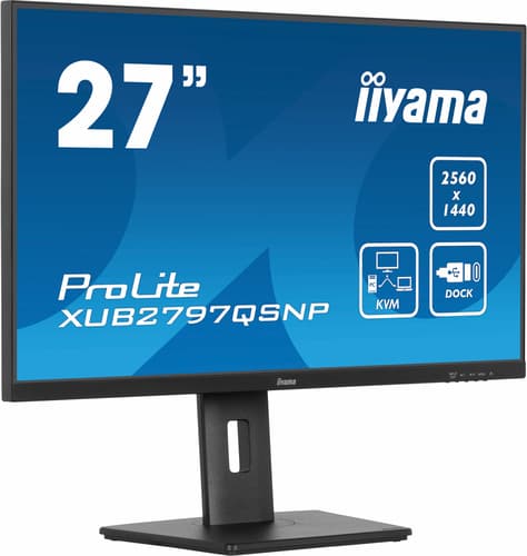 iiyama ProLite XUB2797QSNP-B1 — view 5