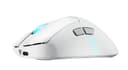 Asus Accessories MICE thumbnail 7
