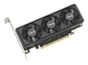 ASUS GeForce RTX 5060 LP BRK 8GB