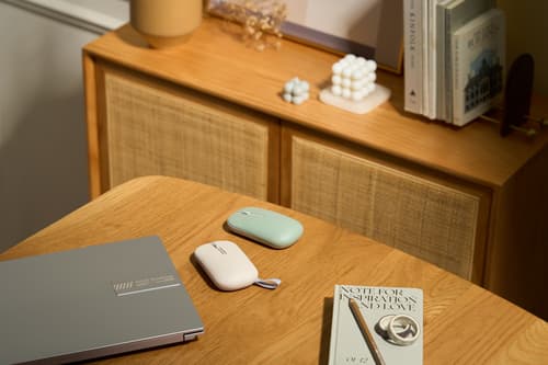 MD100 MOUSE/BG — view 13