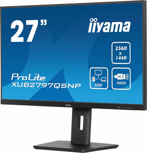 iiyama ProLite XUB2797QSNP-B1 — view 7