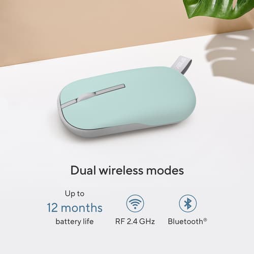 MD100 MOUSE/BG — view 20