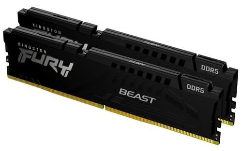 Kingston FURY Beast - DDR5 - kit - 64 GB: 2 x 32 GB - DIMM 288-pin - 5600 MT/s / PC5-44800 - CL40 - 1.25 V - unbuffered - on-die ECC