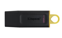 Kingston DataTraveler Exodia - USB flash drive - 128 GB - USB 3.2 Gen 1
