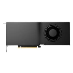 NVIDIA RTX 5000 Ada Generation - Graphics card - RTX 5000 Ada - 32 GB GDDR6 - 4 x DisplayPort