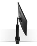 LG UltraFine Ergo 32UN880K-B thumbnail 12