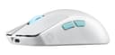 Asus Accessories MICE thumbnail 5