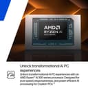 14-FK0002NA RAI 7 350 16G 1T W11 SLV thumbnail 14
