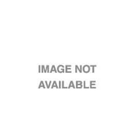Epson - Glossy coated paper - A4 (210 x 297 mm) - 104 g/m2 - 250 sheet(s)