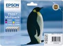 Epson Multipack T5597 - Print cartridge - 1 x black, yellow, cyan, magenta, light magenta, light cyan thumbnail 2