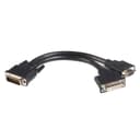 StarTech.com DMS 59 Splitter Cable - 8in - DMS 59 to 1 x DVI / 1 x VGA - Y Cable - DMS 59 to VGA - Monitor Splitter Cable - DMS 59 Cable (DMSDVIVGA1) - Display cable - dual link - DMS-59 (M) to HD-15 (VGA), DVI-I (F) - 20 cm - black thumbnail 1