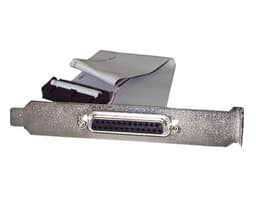StarTech.com 16in DB25 Parallel Female to IDC 25 Pin Header Slot Plate (PLATE25F16) - Parallel panel - DB-25 (F) to 26 PIN IDC (F) - 40.64 cm - grey