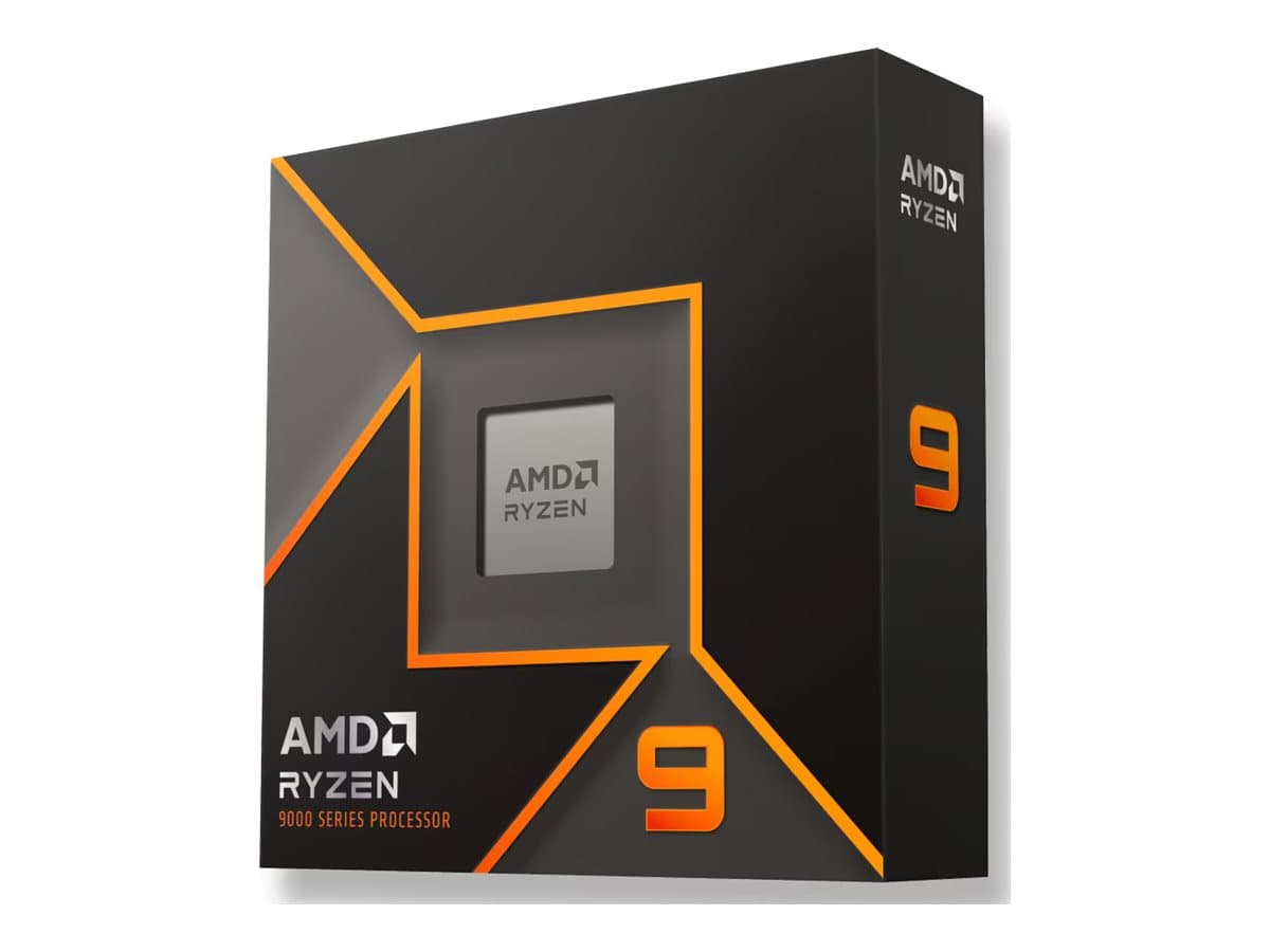 AMD AMD Ryzen 9 9900X
