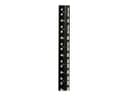 Eaton Tripp Lite Series 12U Wall Mount Rack Enclosure Server Cabinet Side Mount Wallmount