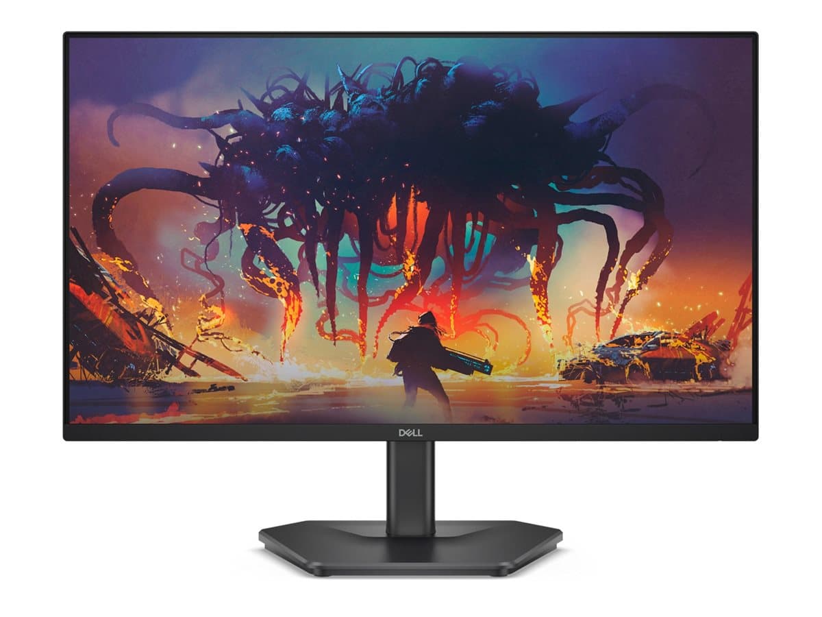 Dell SE2425HG - LED monitor - Full HD (1080p) - 24"