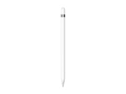 Apple Pencil (1st Generation) + Lightning to USBC Adapter