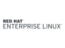 Red Hat Enterprise Linux Server - standard subscription - 2 sockets, 4 guests thumbnail 2