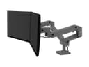 LX PRO ARM, DUAL SIDE-BY-SIDE thumbnail 1