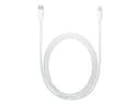 Apple USB-C to Lightning Cable - Lightning cable - 1 m thumbnail 1