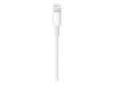 Apple USB-C to Lightning Cable - Lightning cable - 1 m thumbnail 3