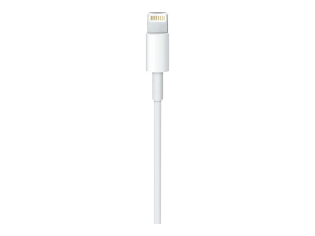 Apple USB-C to Lightning Cable - Lightning cable - 1 m