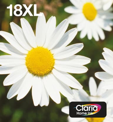 Epson 18XL Multipack Easy Mail Packaging - 4-pack - 31.3 ml - XL - black, yellow, cyan, magenta - original - blister - ink cartridge - for Expression Home XP-212, 215, 225, 312, 315, 322, 325, 412, 415, 422, 425