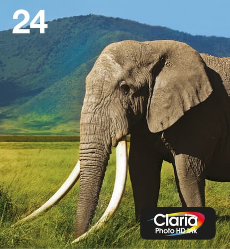Epson Ink Cartridges, Claria" Photo HD Ink, 24, Elephant, Multipack, 1 x 4.6 ml Cyan, 1 x 4.6 ml Yellow, 1 x 5.1 ml Light Magenta, 1 x 5.1 ml Black, 1 x 5.1 ml Light Cyan, 1 x 4.6 ml Magenta, Standard