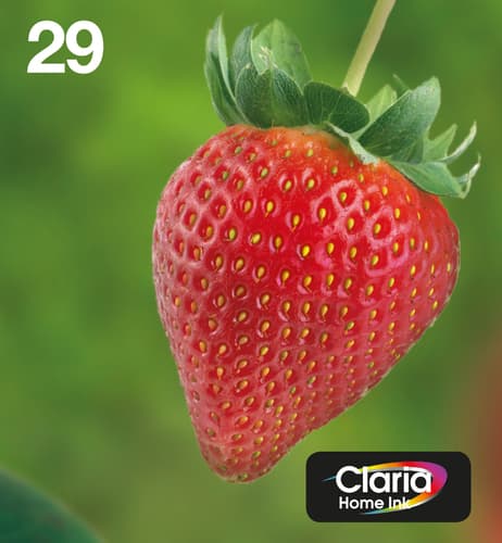 Epson Ink Cartridges, Claria" Home Ink, 29, Strawberry, Multipack, 1 x 3.2 ml Cyan, 1 x 3.2 ml Magenta, 1 x 5.3 ml Black, 1 x 3.2 ml Yellow, Standard