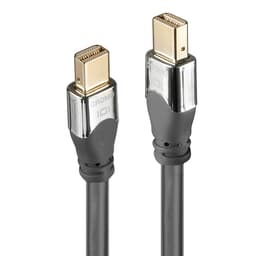 1M CROMO MINI DISPLAYPORT CABLE